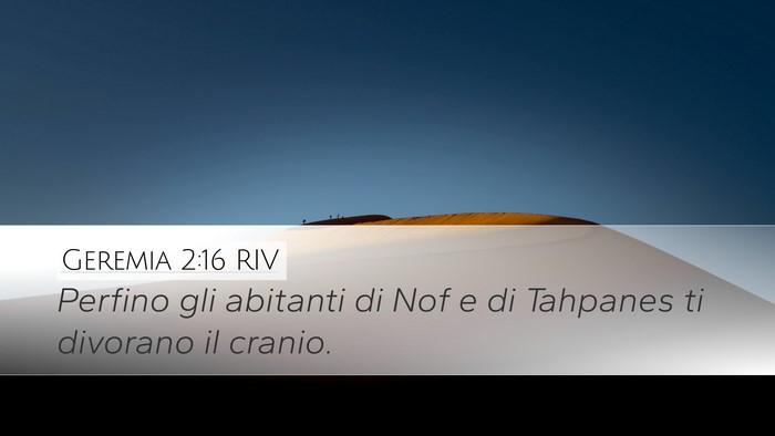 Geremia 2:16 RIV Desktop Wallpaper - Perfino gli abitanti di Nof e di Tahpanes ti - Desktop Bible Verse Wallpaper