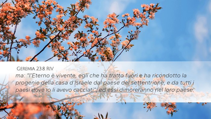 Geremia 23:8 RIV Bible Verse Image