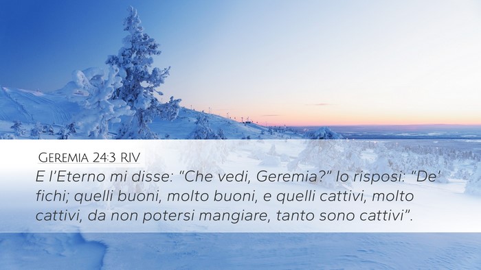 Geremia 24:3 RIV Bible Verse Image