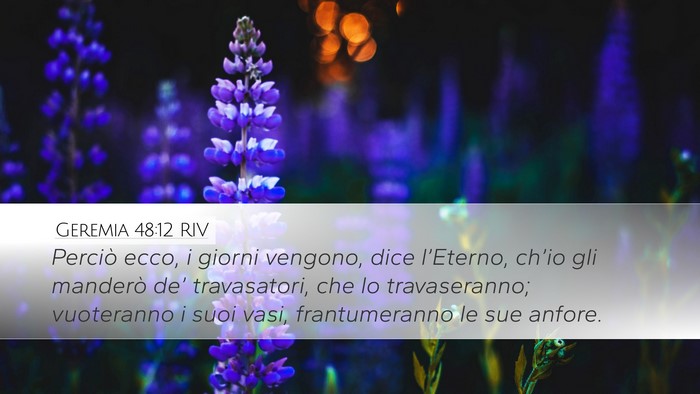Geremia 48:12 RIV Bible Verse Image