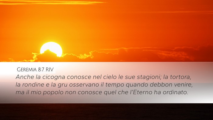 Geremia 8:7 RIV Bible Verse Image