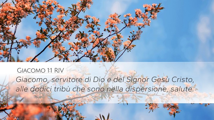 Giacomo 1:1 RIV Bible Verse Image