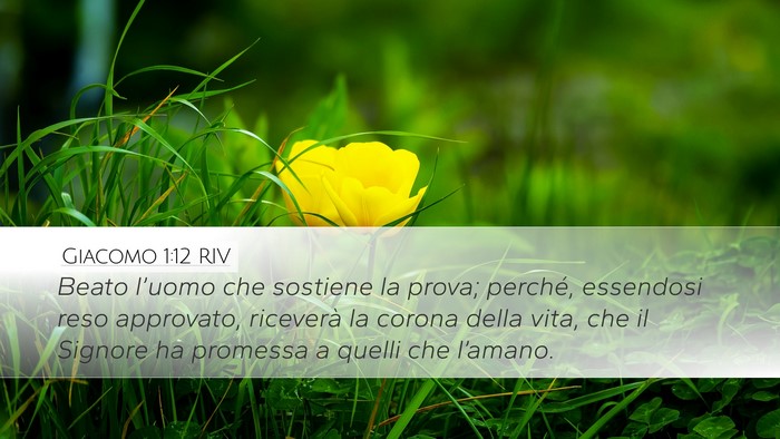 Giacomo 1:12 RIV Bible Verse Image