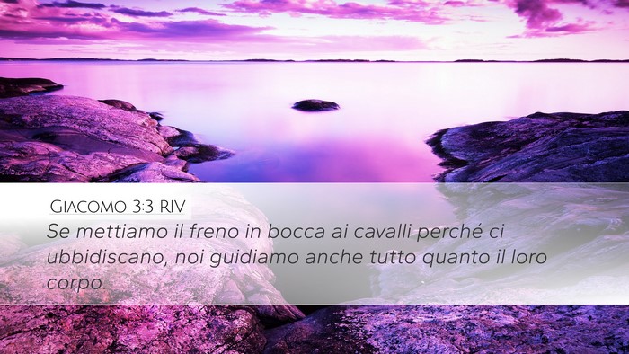 Giacomo 3:3 RIV Bible Verse Image