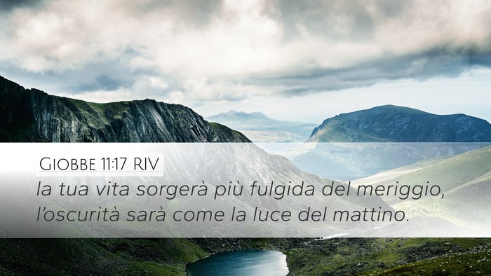 Giobbe 11:17 RIV Bible Verse Image