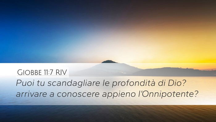 Giobbe 11:7 RIV Bible Verse Image