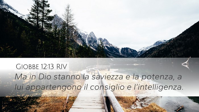 Giobbe 12:13 RIV Bible Verse Image