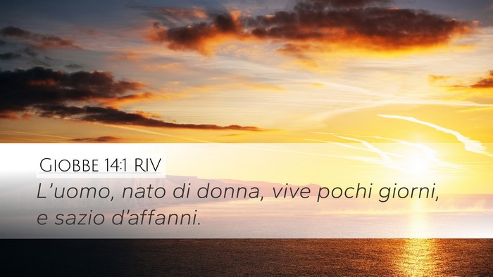 Giobbe 14:1 RIV Bible Verse Image