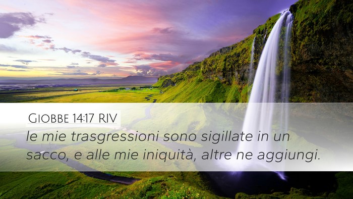 Giobbe 14:17 RIV Bible Verse Image