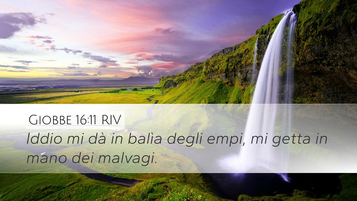 Giobbe 16:11 RIV Desktop Wallpaper - Iddio mi dà in balìa degli empi, mi getta in - Desktop Bible Verse Wallpaper
