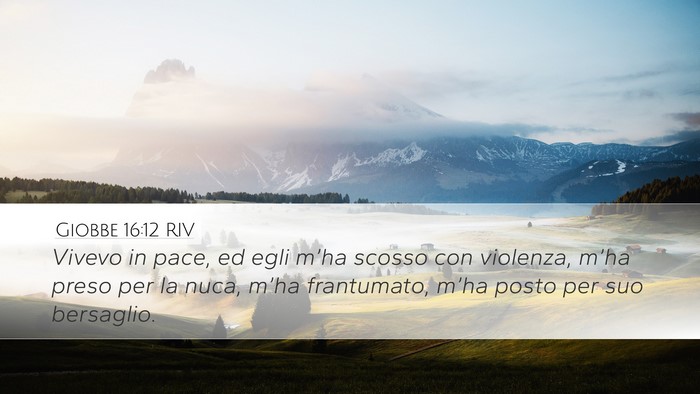 Giobbe 16:12 RIV Bible Verse Image