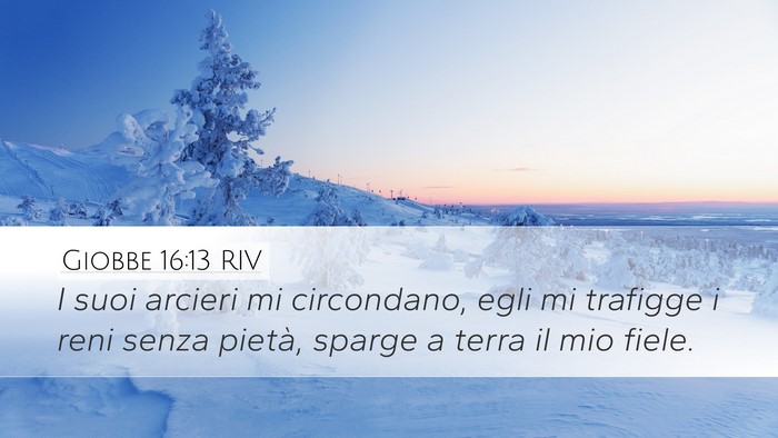 Giobbe 16:13 RIV Bible Verse Image