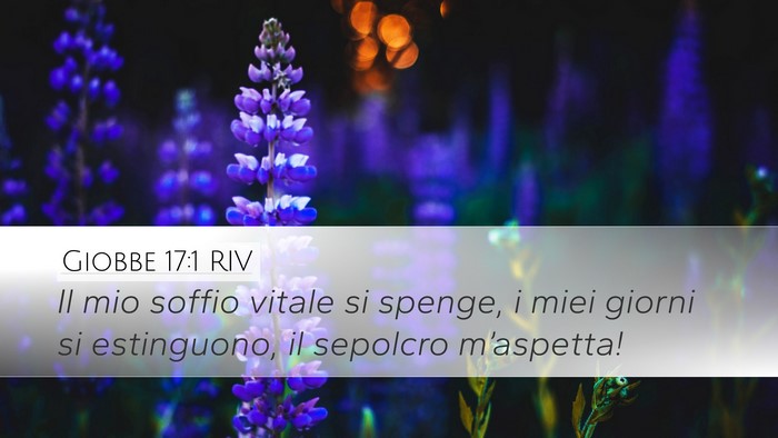 Giobbe 17:1 RIV Bible Verse Image