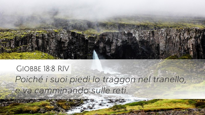 Giobbe 18:8 RIV Bible Verse Image