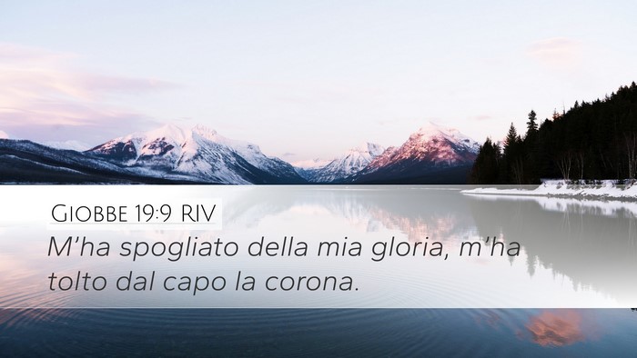 Giobbe 19:9 RIV Bible Verse Image