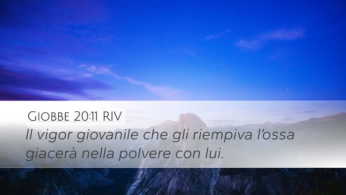Giobbe 20:11 RIV Bible Verse Image