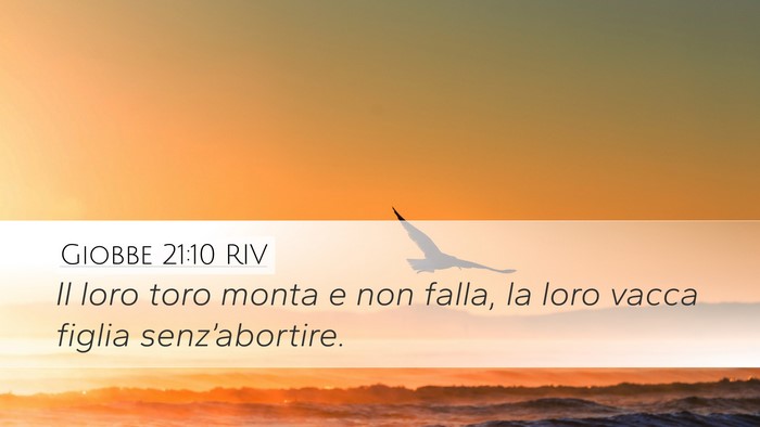 Giobbe 21:10 RIV Bible Verse Image