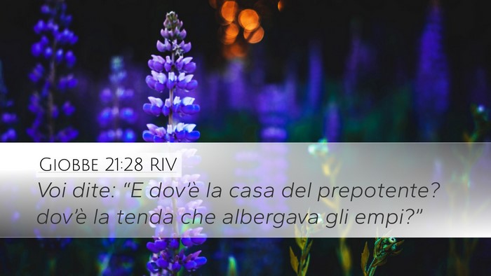 Giobbe 21:28 RIV Bible Verse Image