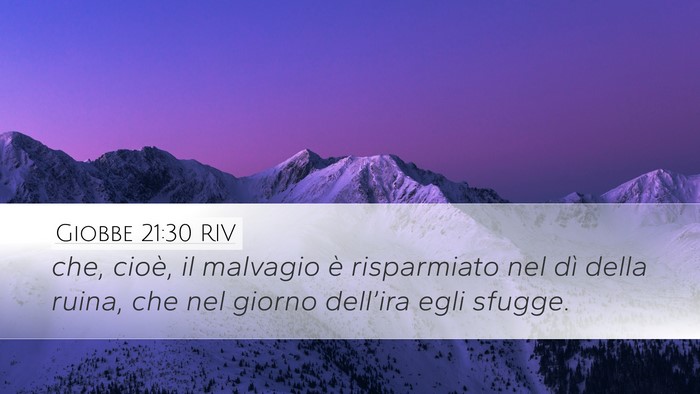 Giobbe 21:30 RIV Bible Verse Image