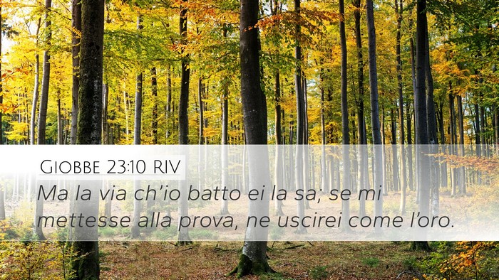 Giobbe 23:10 RIV Bible Verse Image