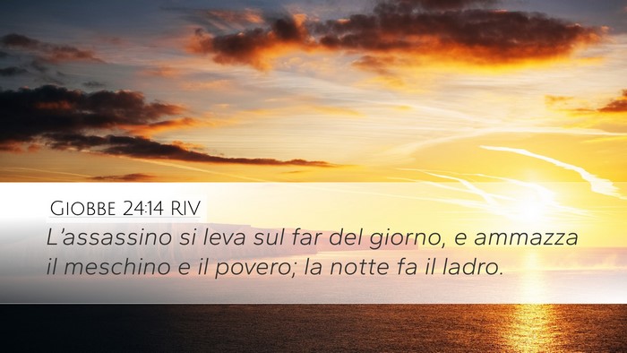Giobbe 24:14 RIV Bible Verse Image