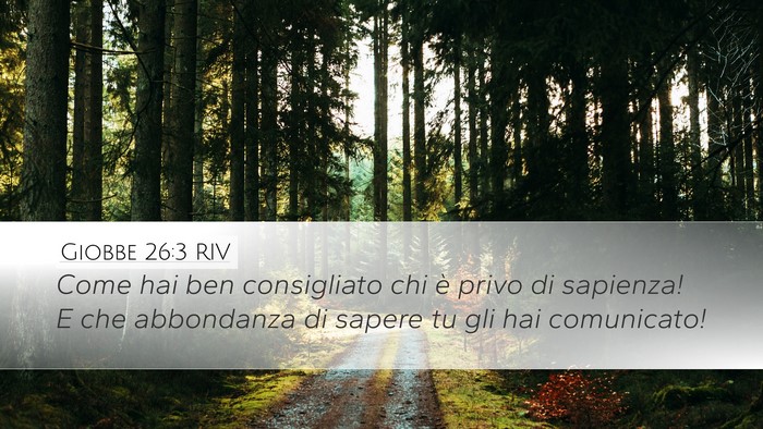 Giobbe 26:3 RIV Desktop Wallpaper - Come hai ben consigliato chi è privo di - Desktop Bible Verse Wallpaper