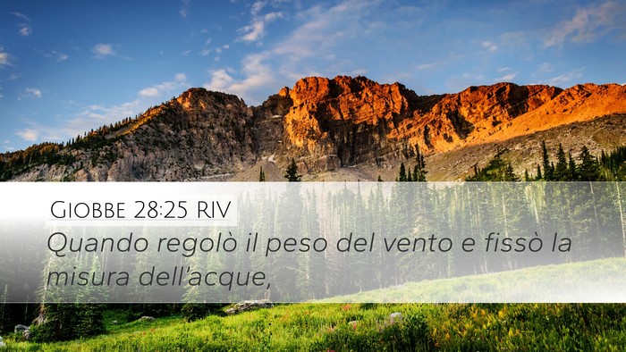 Giobbe 28:25 RIV Bible Verse Image