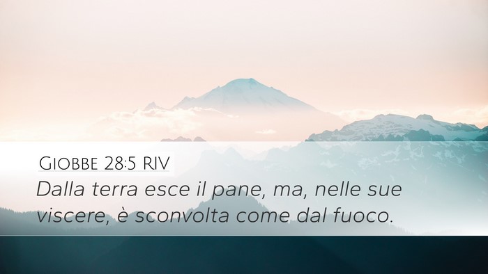 Giobbe 28:5 RIV Bible Verse Image
