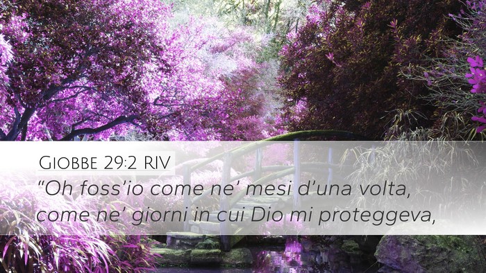 Giobbe 29:2 RIV Bible Verse Image