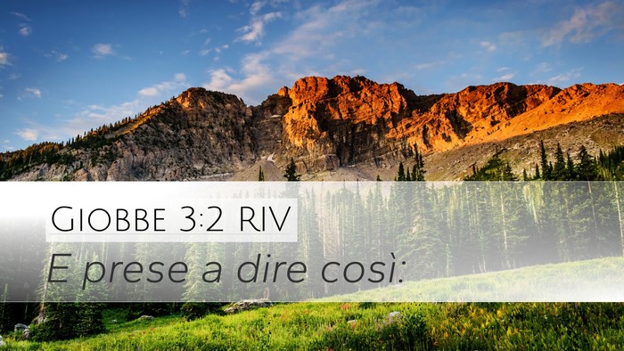 Giobbe 3:2 RIV Desktop Wallpaper - E prese a dire - Desktop Bible Verse Wallpaper