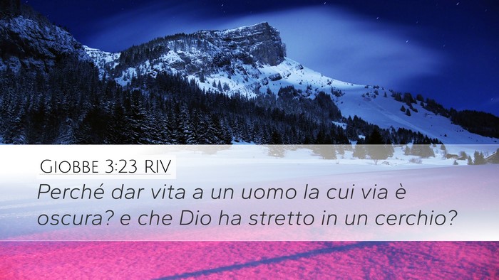Giobbe 3:23 RIV Bible Verse Image