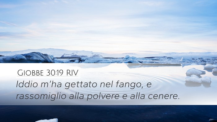 Giobbe 30:19 RIV Bible Verse Image