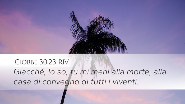 Giobbe 30:23 RIV Bible Verse Image