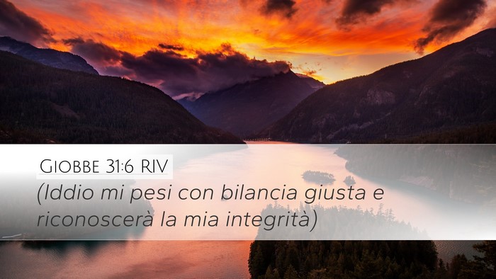 Giobbe 31:6 RIV Bible Verse Image