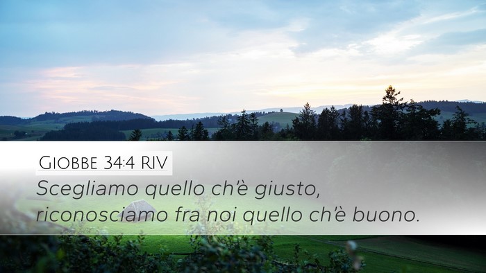Giobbe 34:4 RIV Desktop Wallpaper - Scegliamo quello ch’è giusto, riconosciamo fra - Desktop Bible Verse Wallpaper