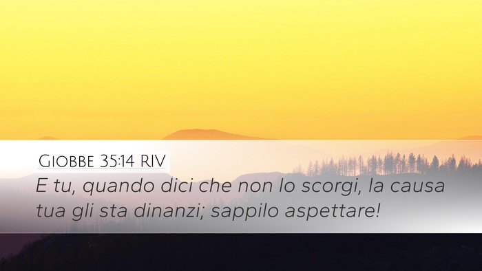 Giobbe 35:14 RIV Bible Verse Image