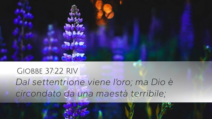 Giobbe 37:22 RIV Bible Verse Image
