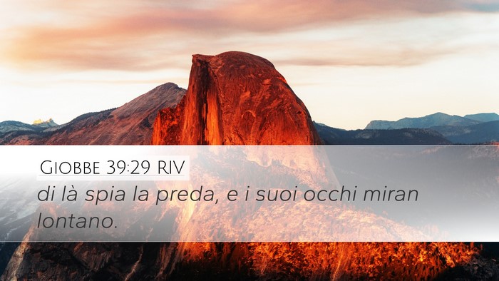 Giobbe 39:29 RIV Desktop Wallpaper - di là spia la preda, e i suoi occhi miran - Desktop Bible Verse Wallpaper