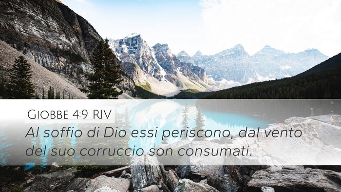 Giobbe 4:9 RIV Bible Verse Image