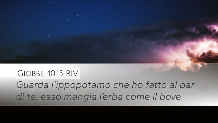 Giobbe 40:15 RIV Bible Verse Image