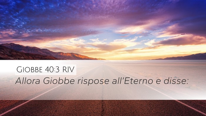 Giobbe 40:3 RIV Bible Verse Image