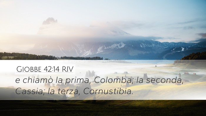 Giobbe 42:14 RIV Desktop Wallpaper - e chiamò la prima, Colomba; la seconda, Cassia; - Desktop Bible Verse Wallpaper