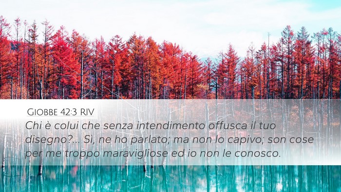 Giobbe 42:3 RIV Bible Verse Image