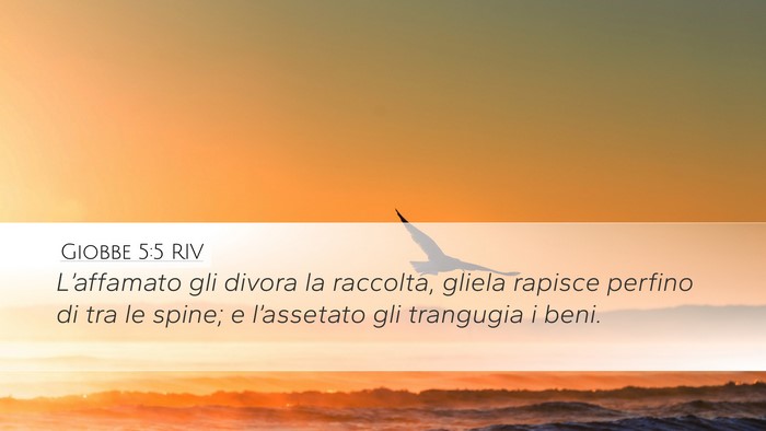 Giobbe 5:5 RIV Bible Verse Image