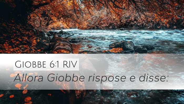 Giobbe 6:1 RIV Bible Verse Image