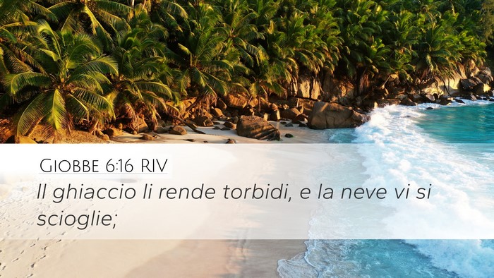 Giobbe 6:16 RIV Desktop Wallpaper - Il ghiaccio li rende torbidi, e la neve vi si - Desktop Bible Verse Wallpaper