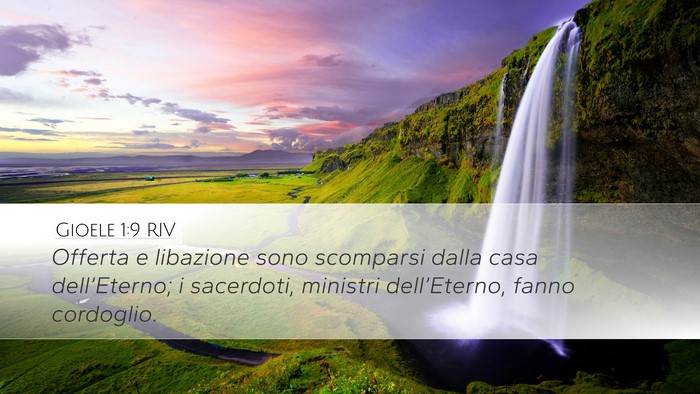 Gioele 1:9 RIV Bible Verse Image