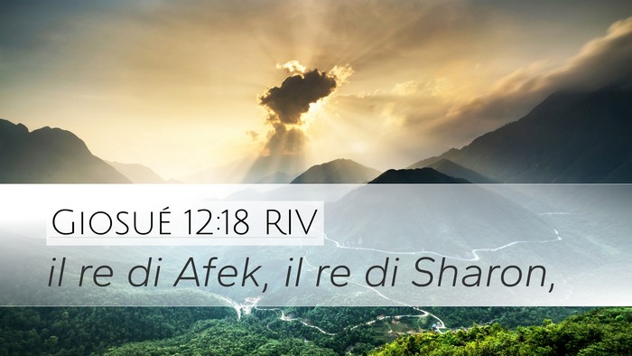 Giosué 12:18 RIV Desktop Wallpaper - il re di Afek, il re di - Desktop Bible Verse Wallpaper