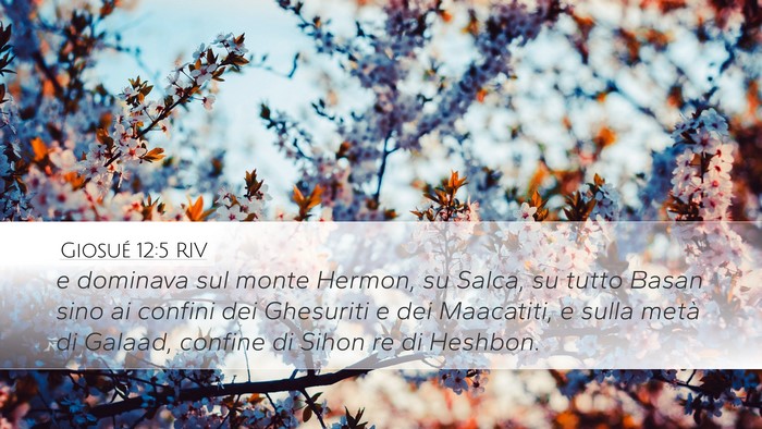 Giosué 12:5 RIV Bible Verse Image