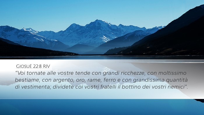 Giosué 22:8 RIV Bible Verse Image